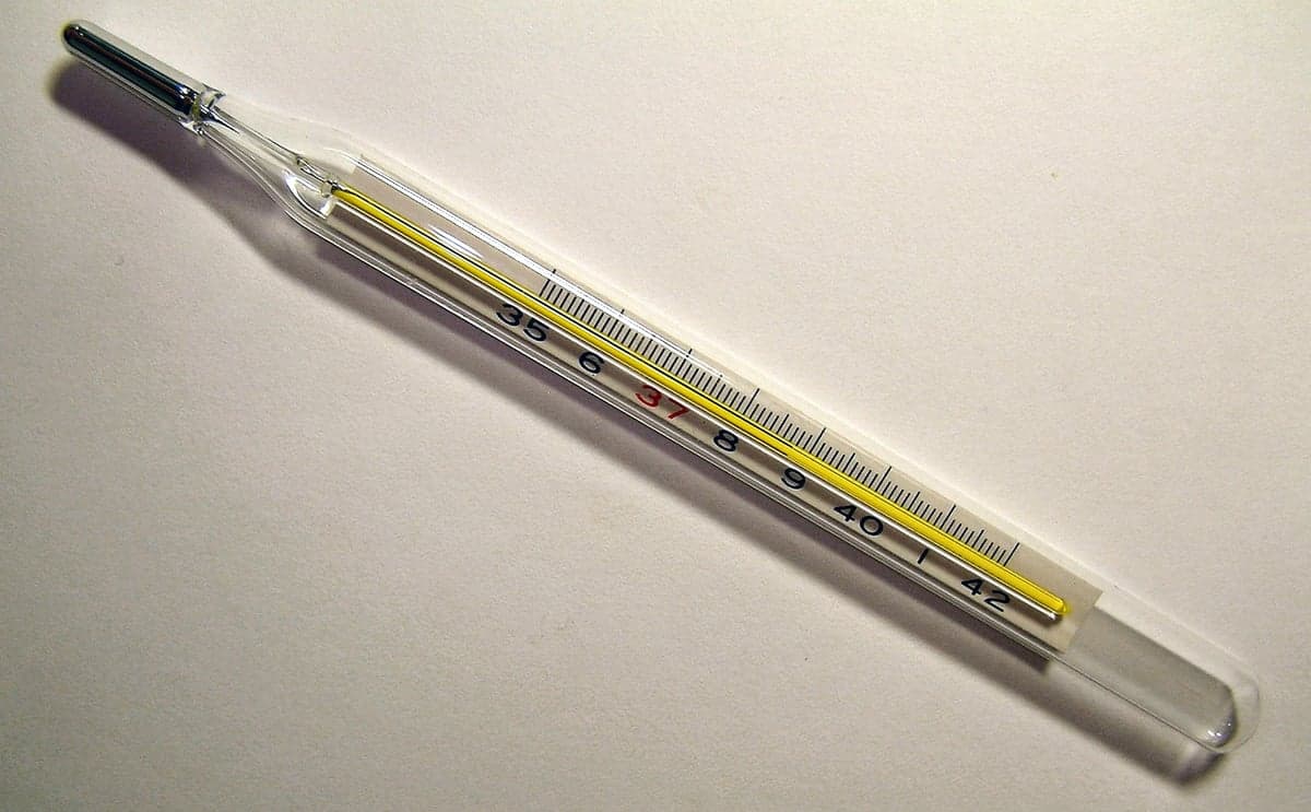 Lazmero 38,7 fokot mutat